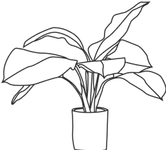 Planta Artificial